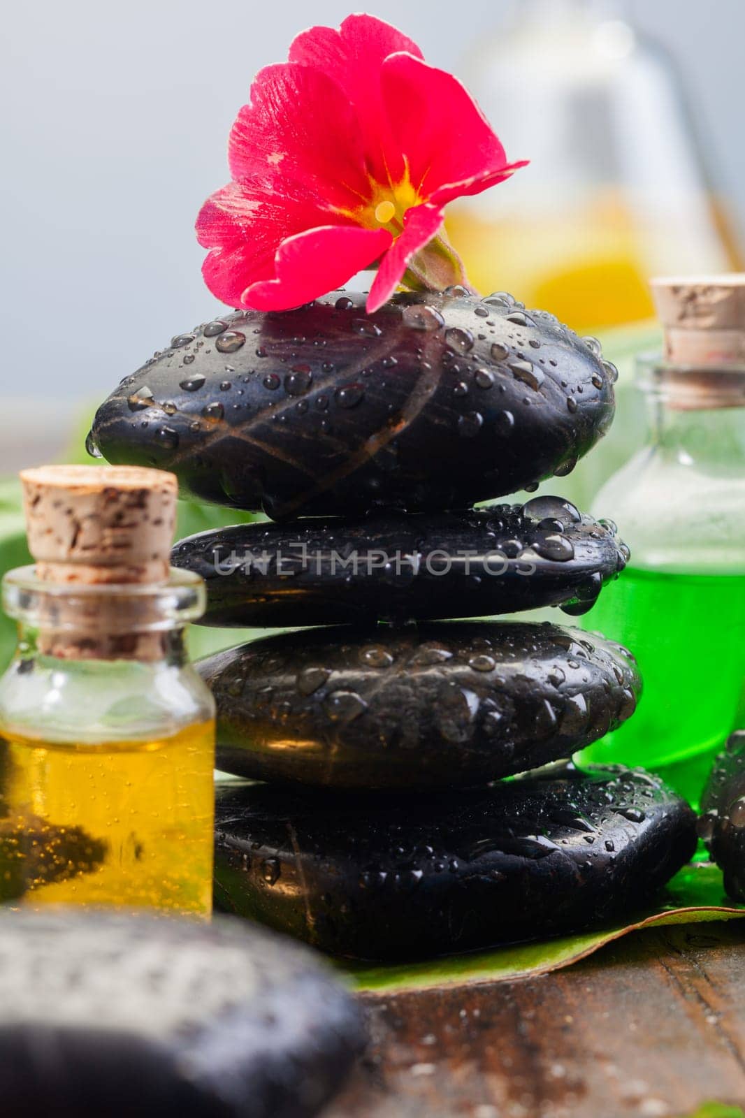 Balancing black massage stones in a spa environment with bottles of aromatherapy essential oil and a red flower