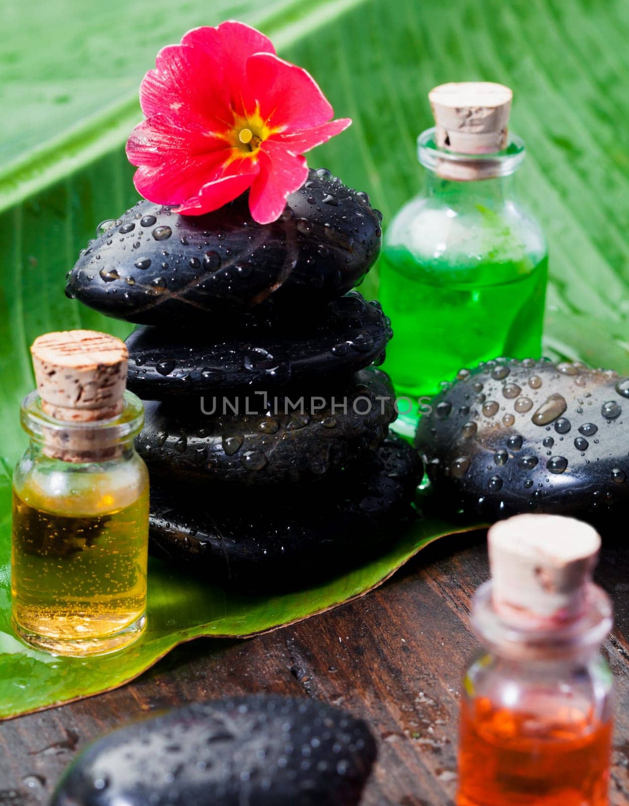 Hibiscus bloom and raindrops on basalt stones and massage oils at the spa