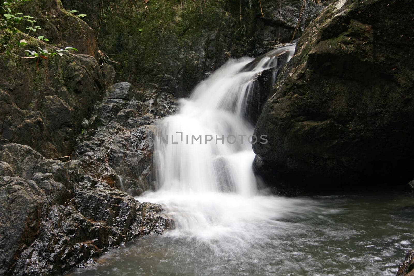 waterfall in the wild tropical forest