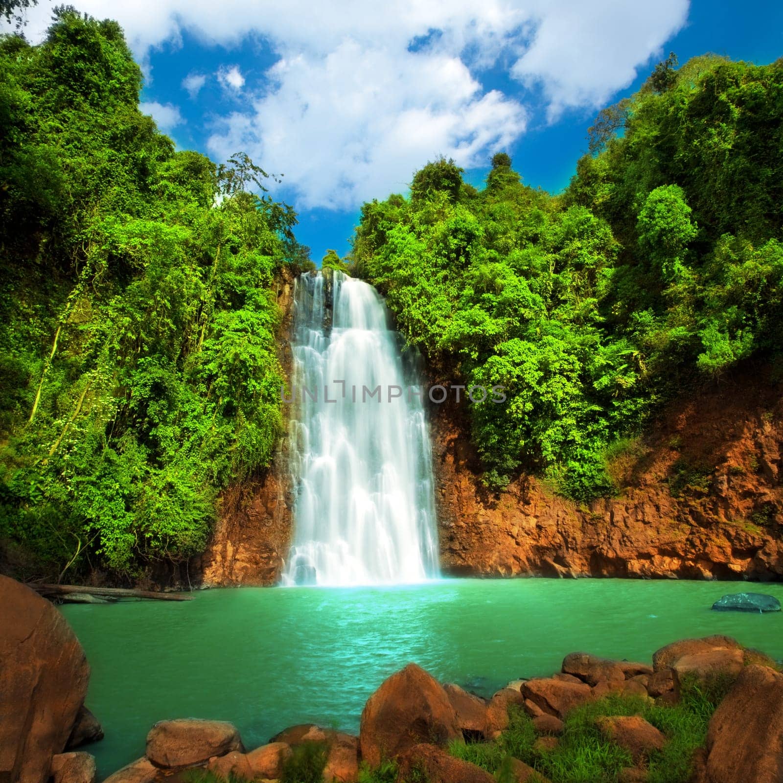 Waterfall  in rain forest