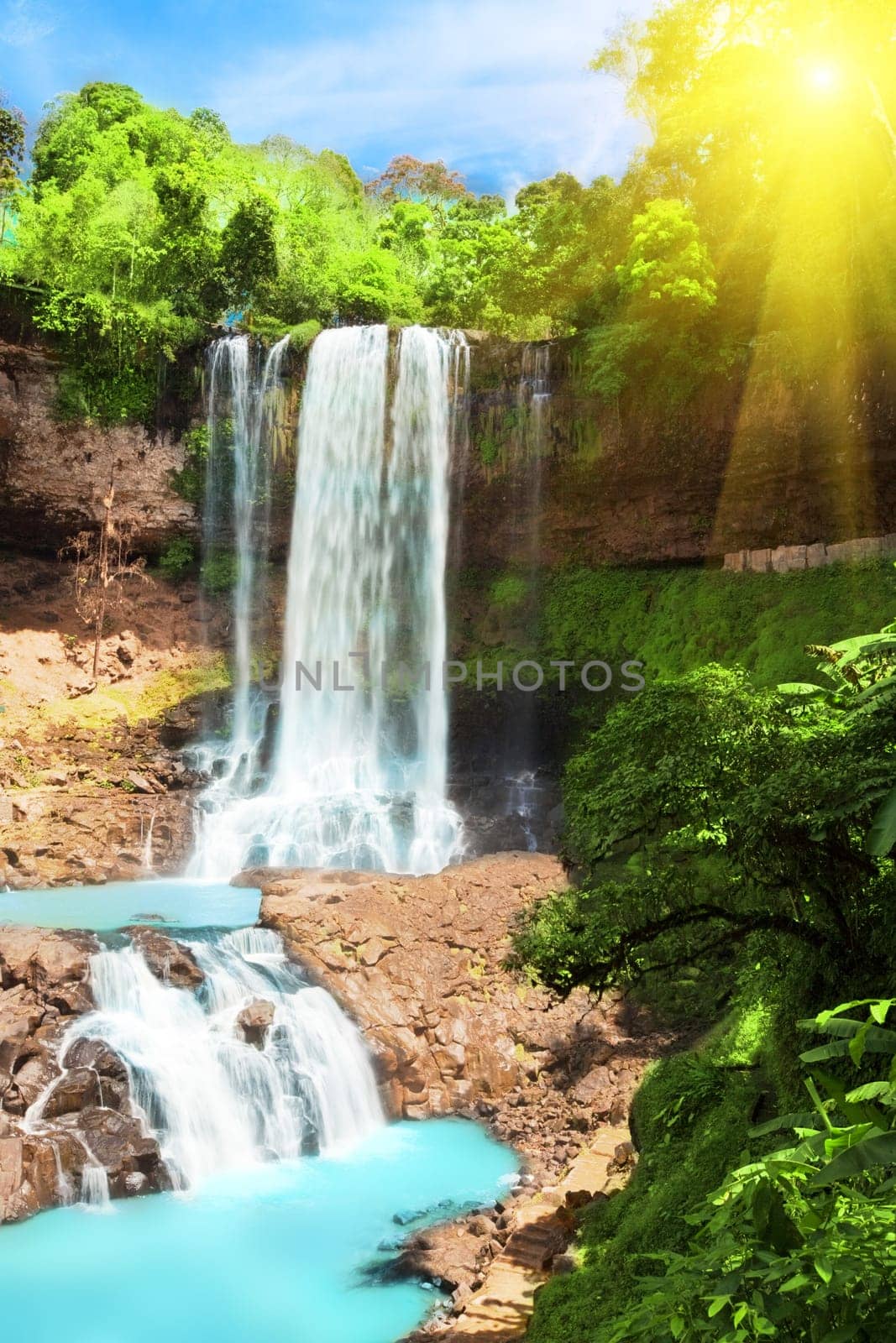 Waterfall in rain forest