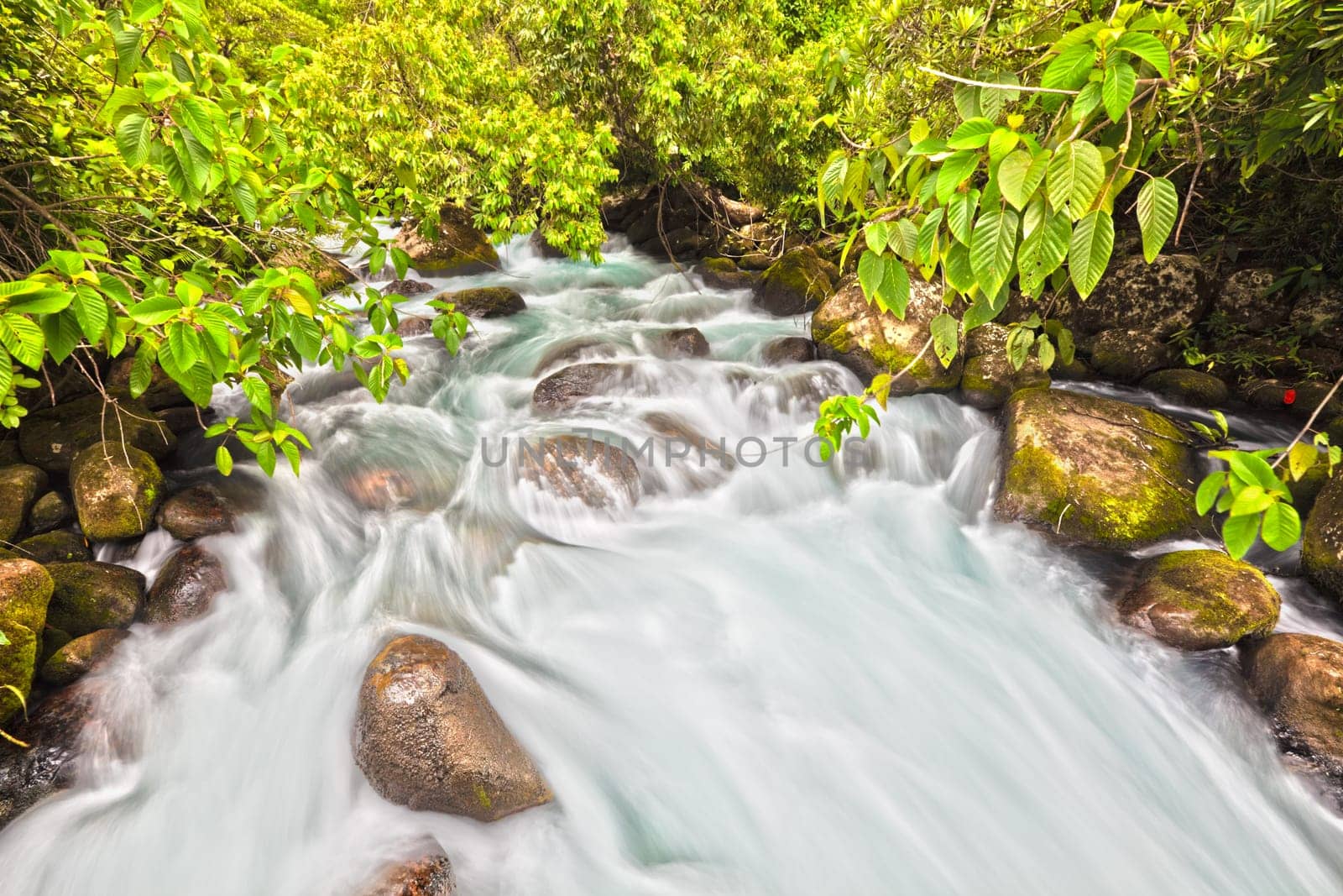 Mountain stream. Phong Nha - Ke Bang National Park. Vietnam
