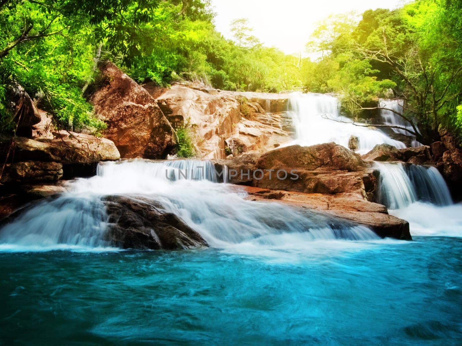 Waterfall in rain forest