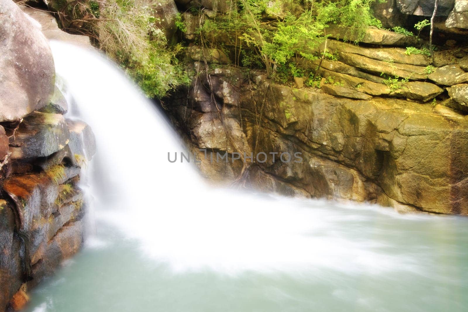 Waterfall pool in rain forest