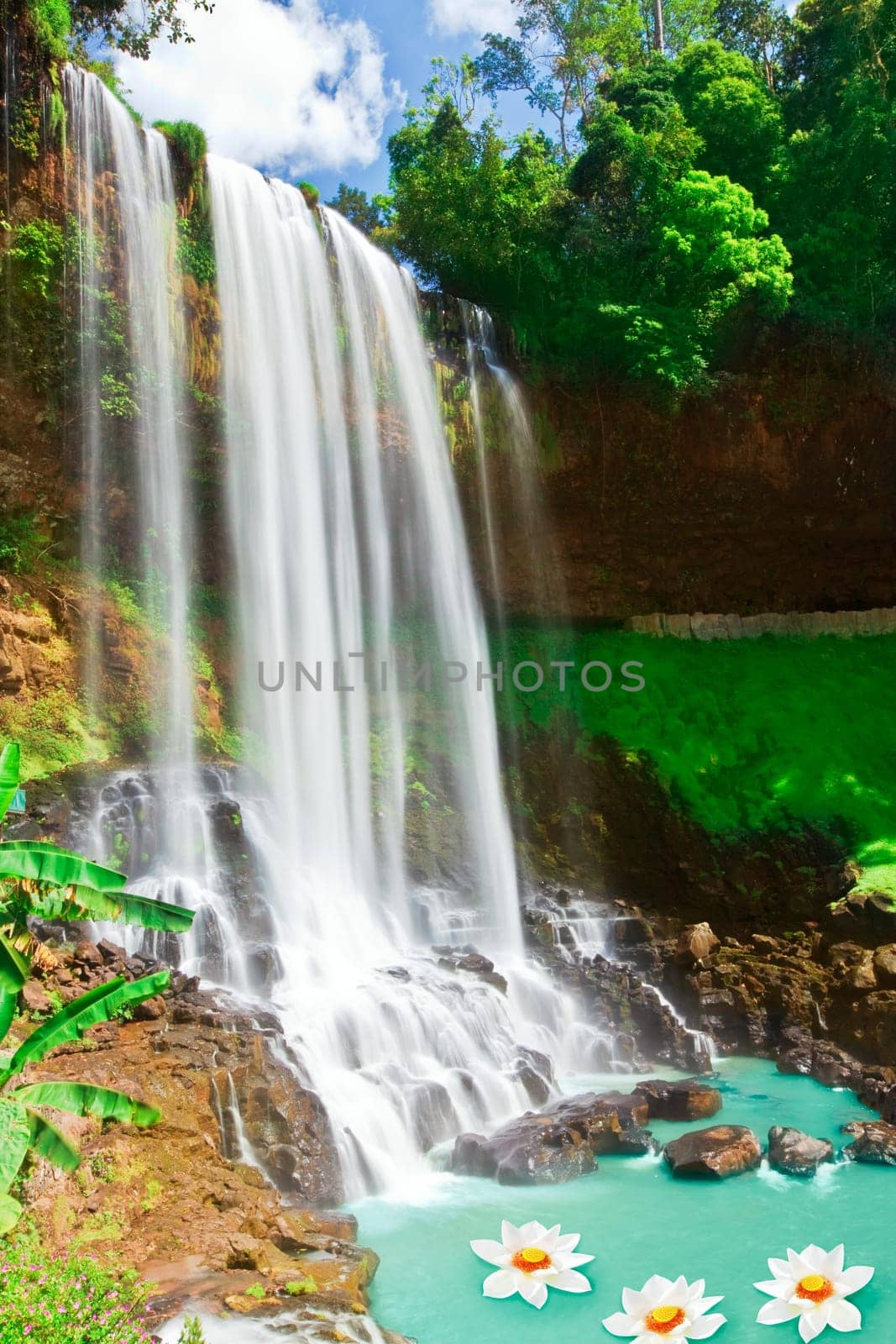 Beautiful lotus flowers in waterfall pool. Vietnam