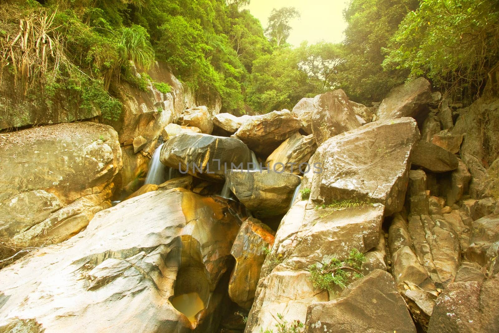 Waterfall pool in rain forest and sunlight