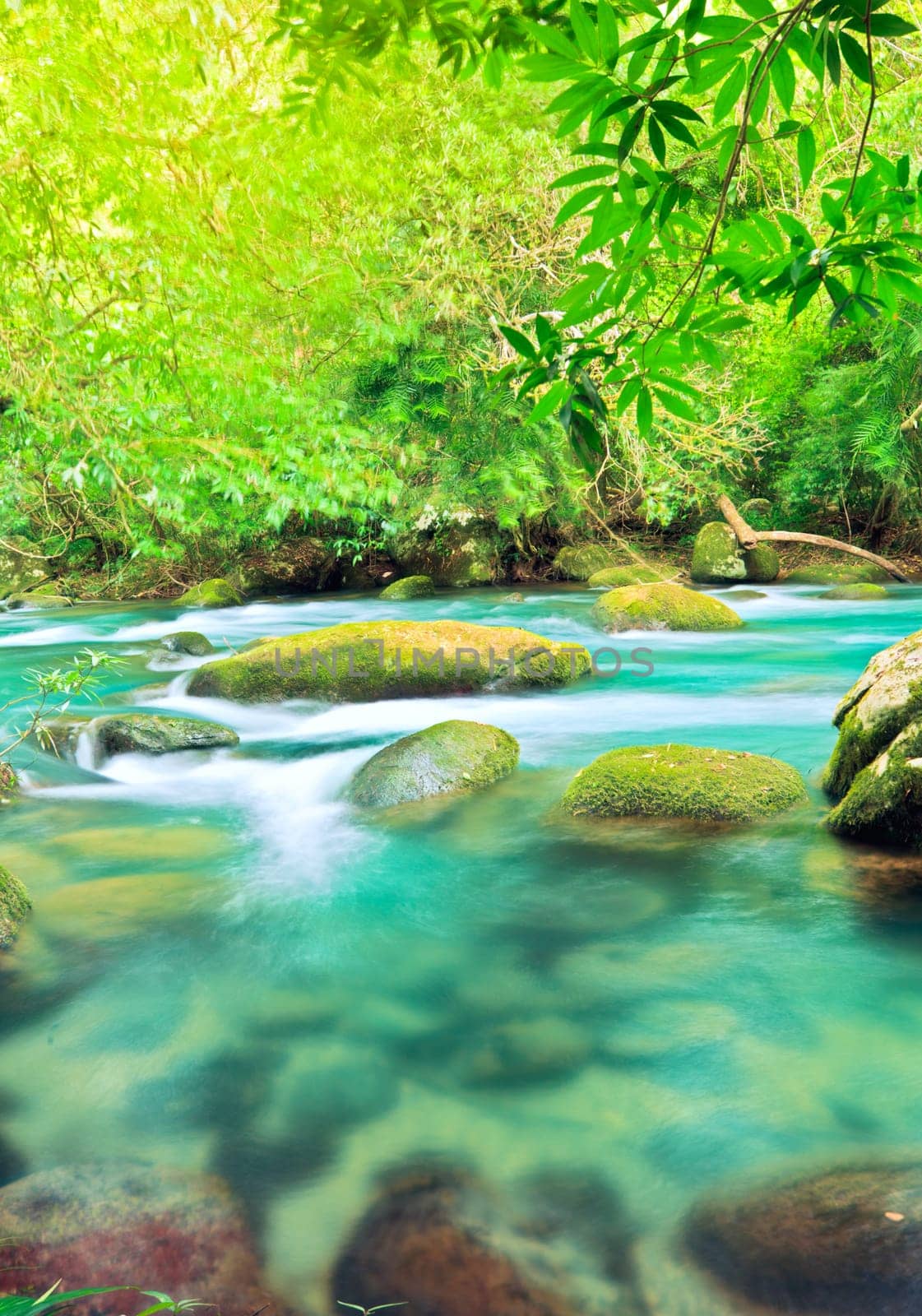 Blue water stream. Phong Nha - Ke Bang National Park. Vietnam