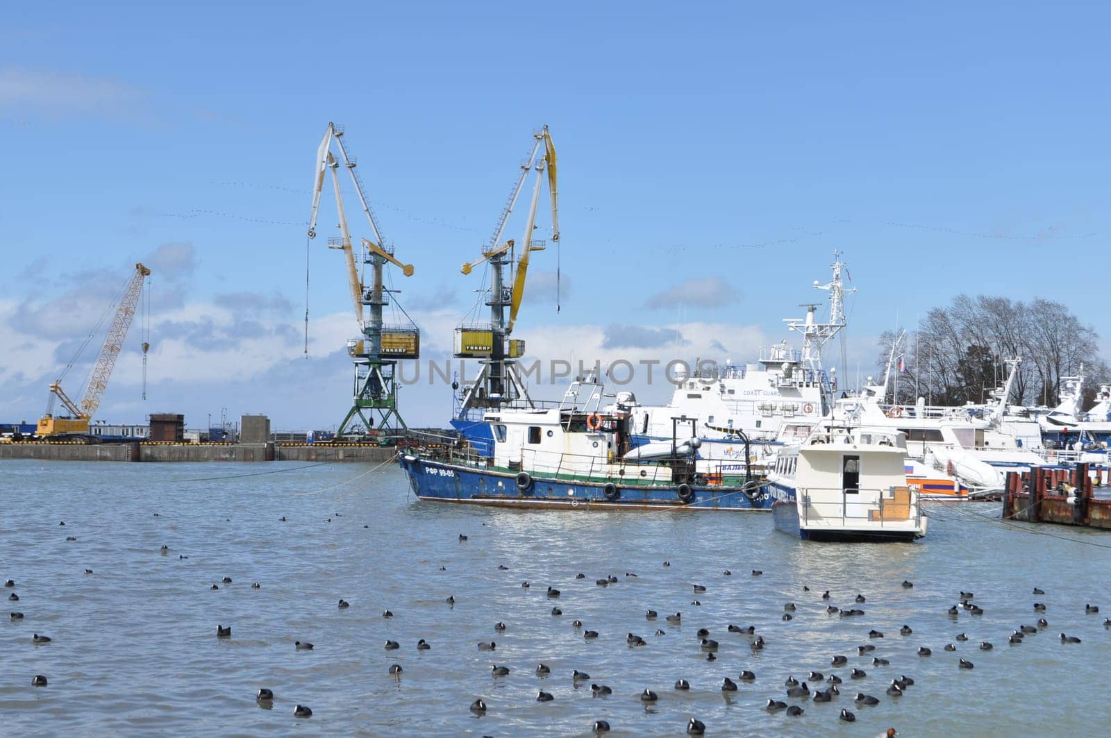 Marine port with crane, plot and bird