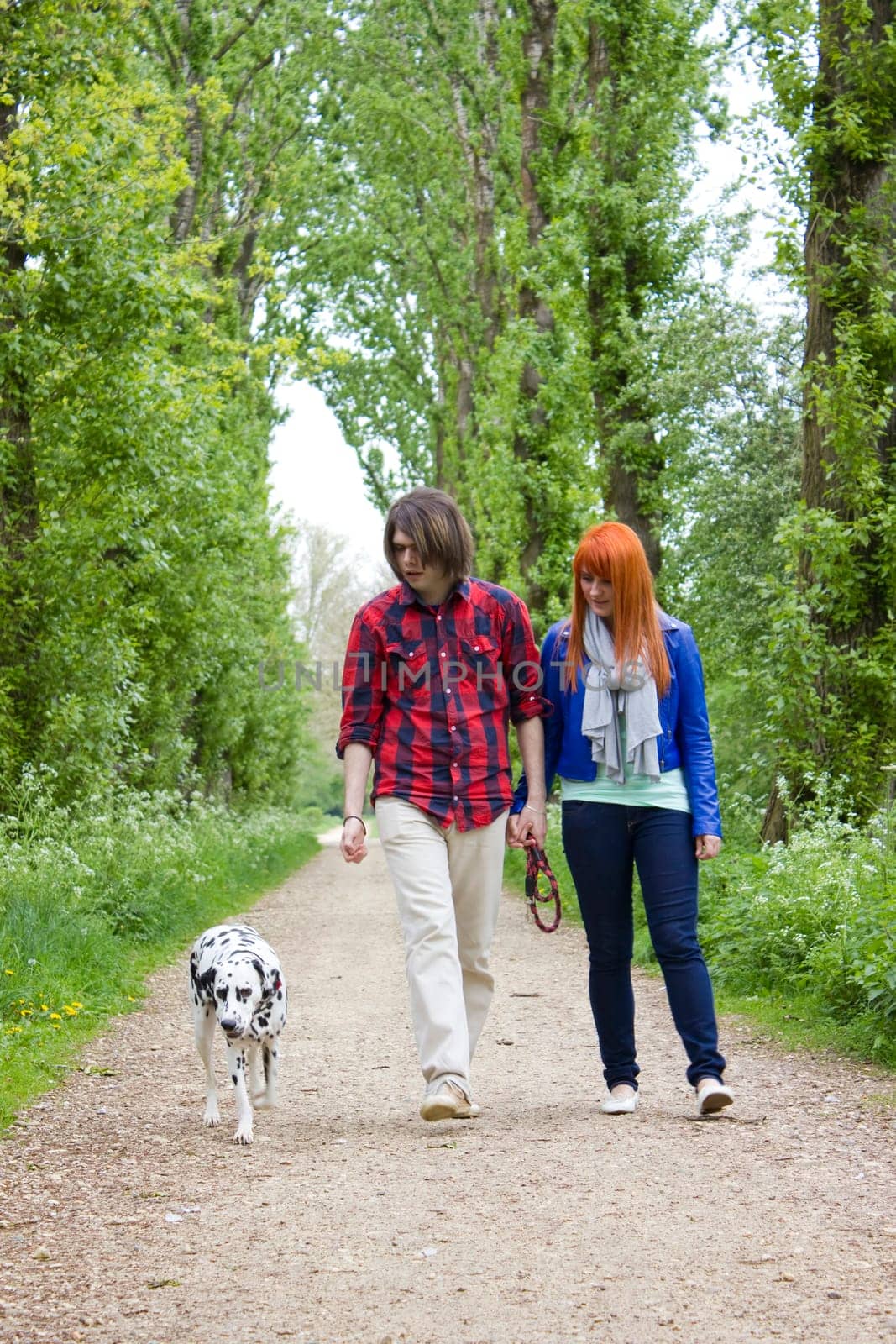 young couple people and dog