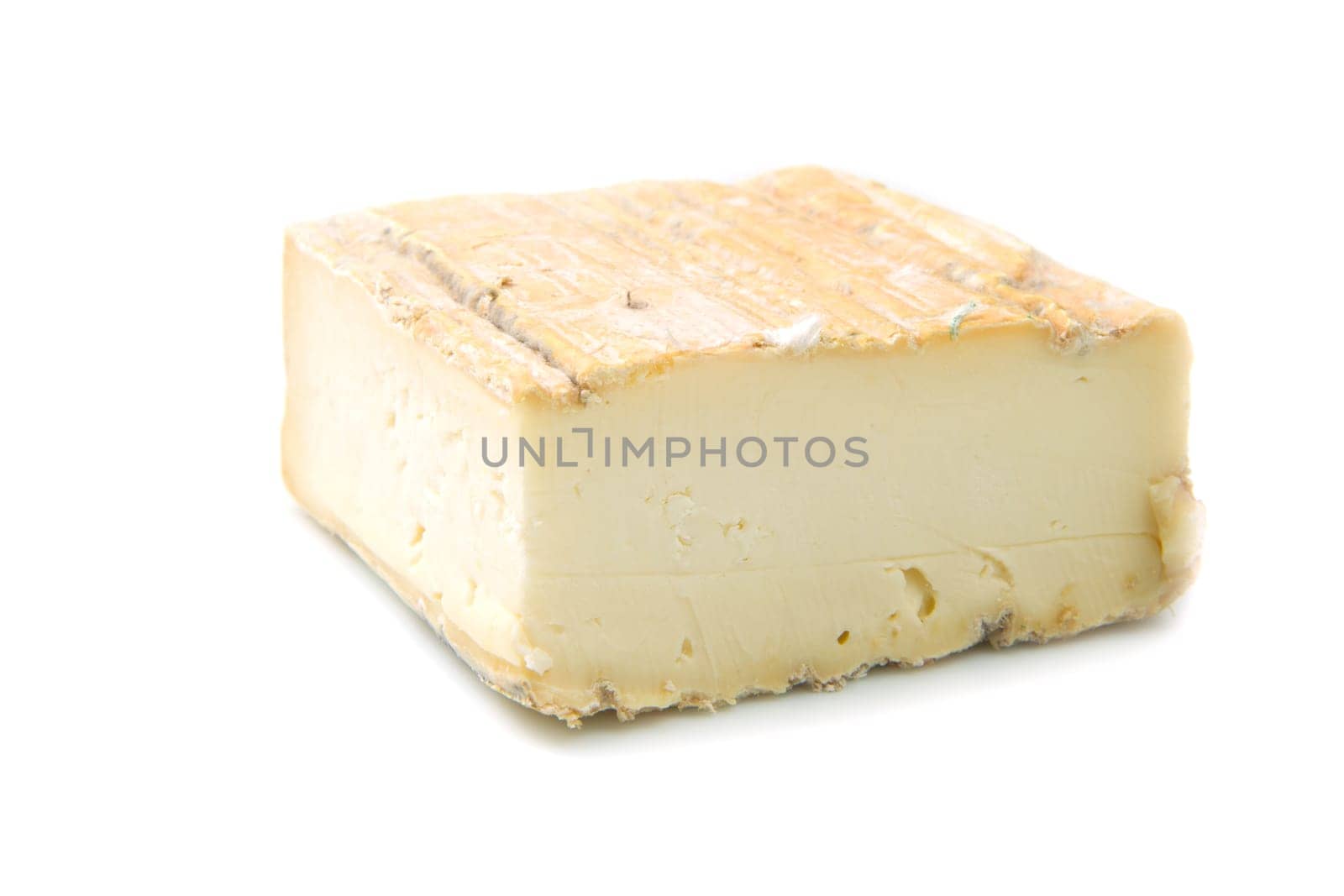 taleggio cheese