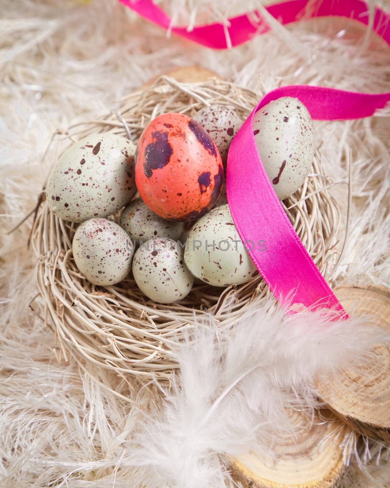 Speckled blue Easter Eggs in a nest on feathers with one single red one and a pink ribbon