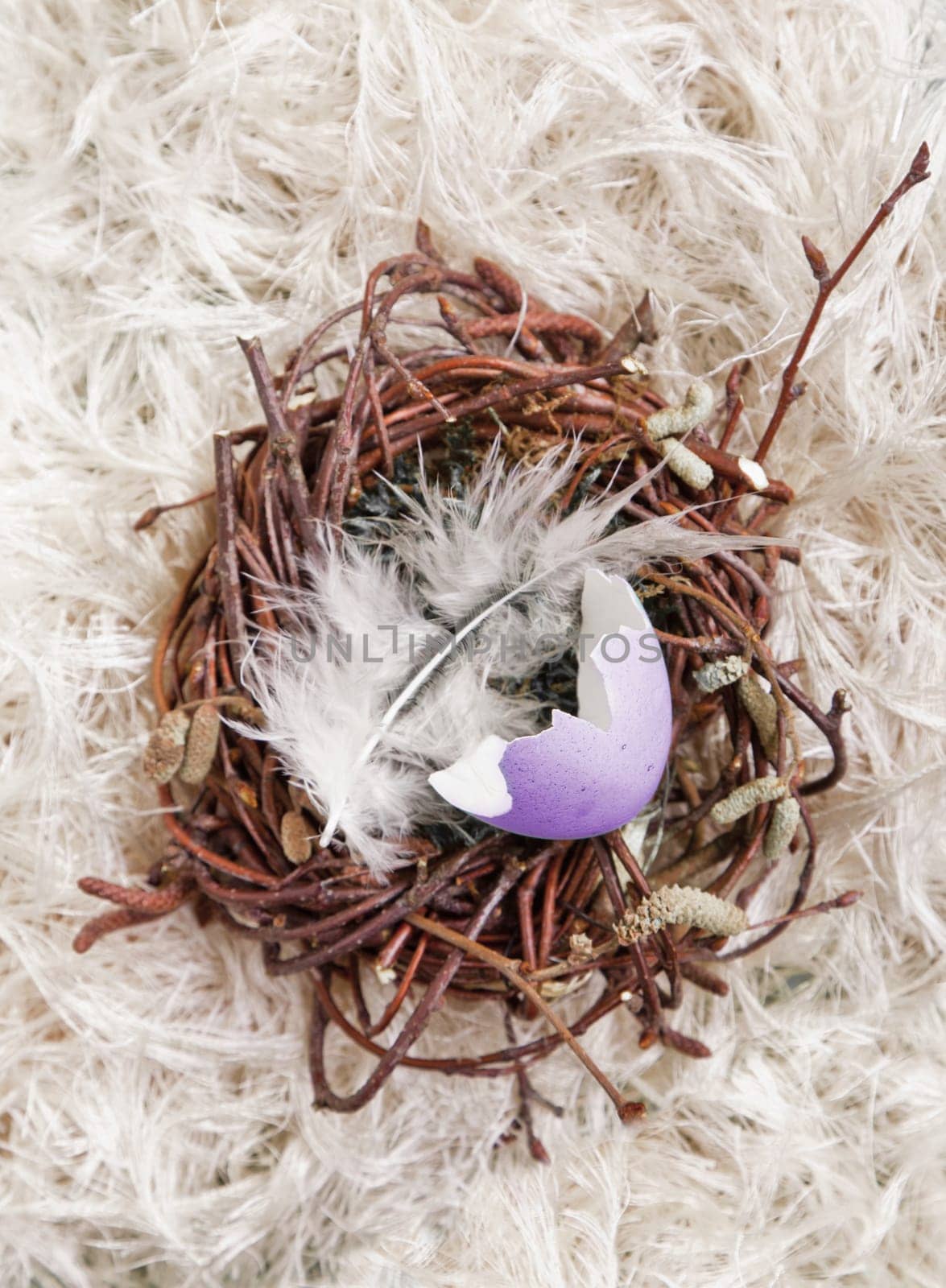 Lavender colored egg shell in a small nest with a bird feather