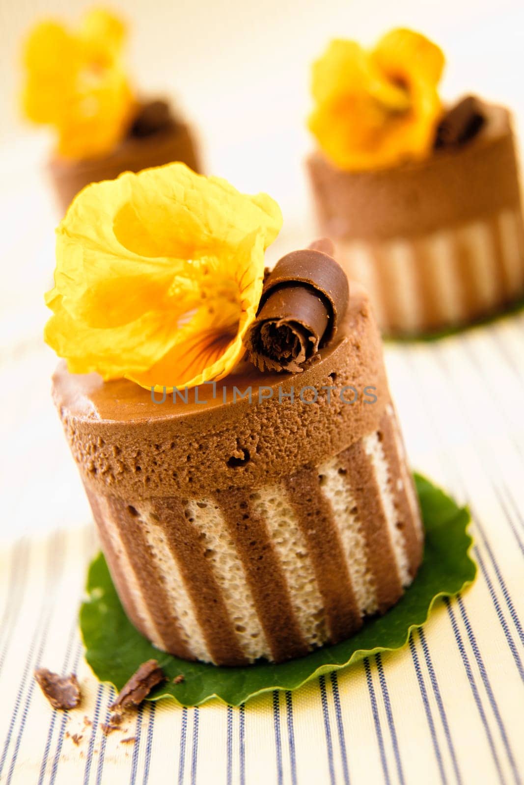 Rich gourmet chocolate desserts of a striped cake base topped with chocolate and mousse and a decorative yellow flower