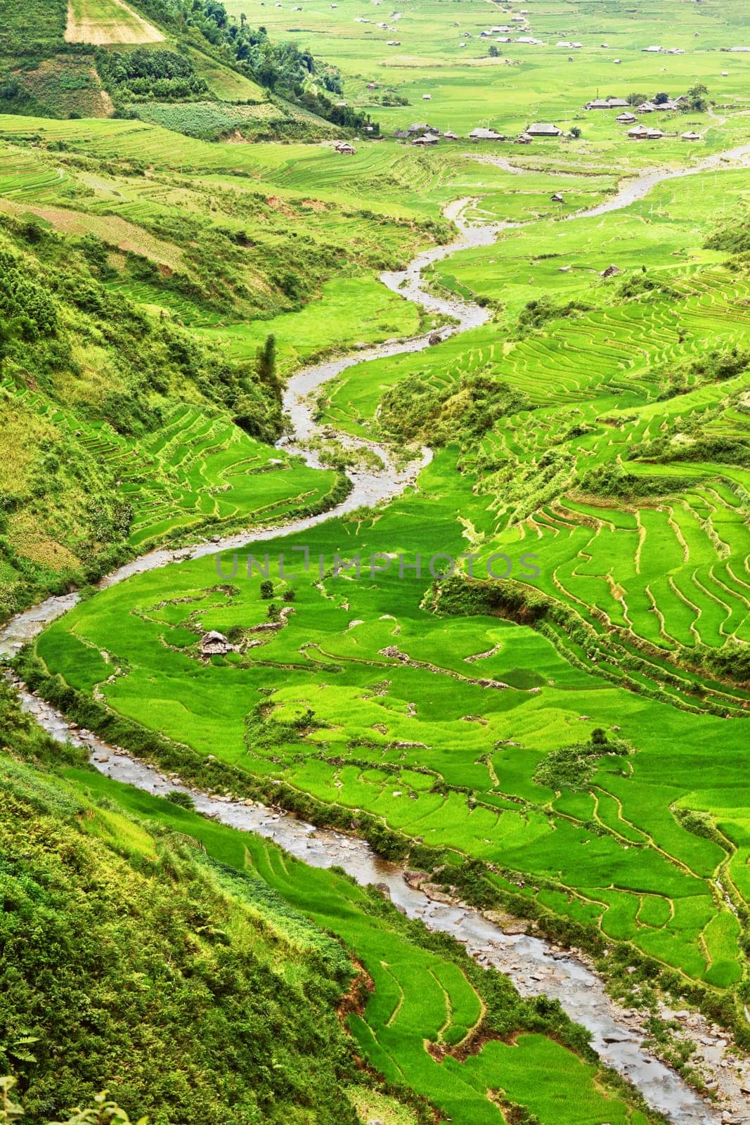 Mountain valley with a river flowing among rice fields