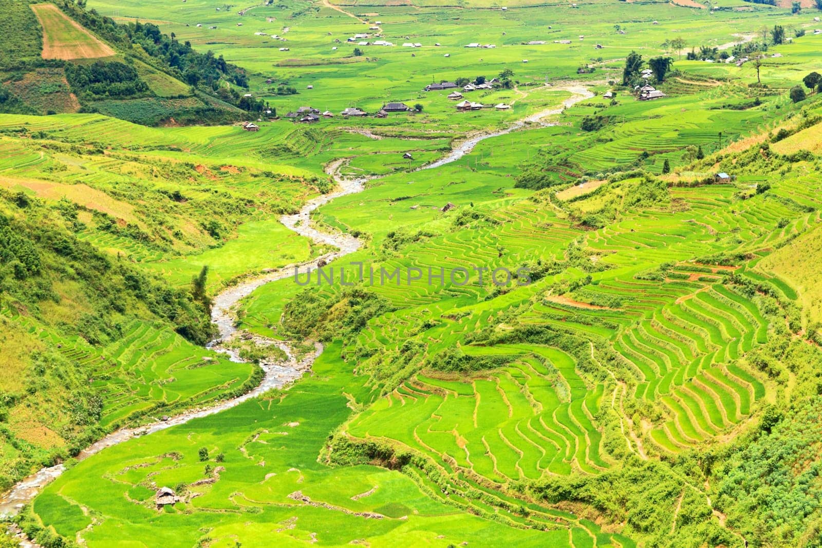 Mountain valley with a river flowing among rice fields