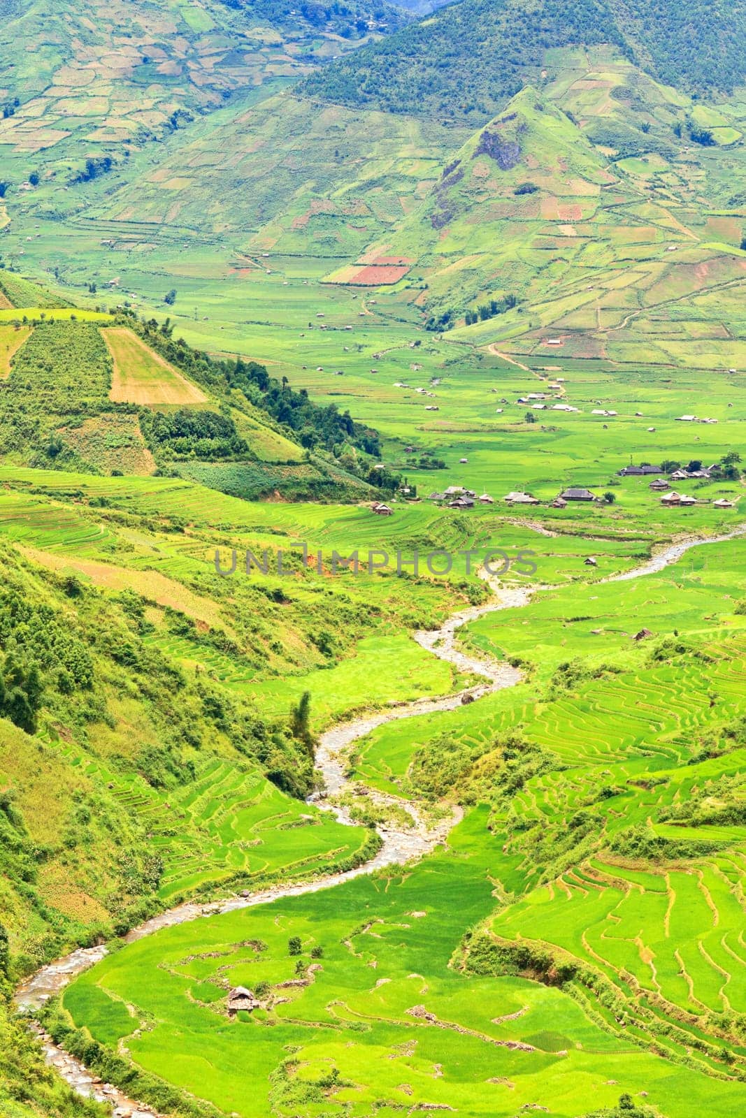 Mountain valley with a river flowing among rice fields