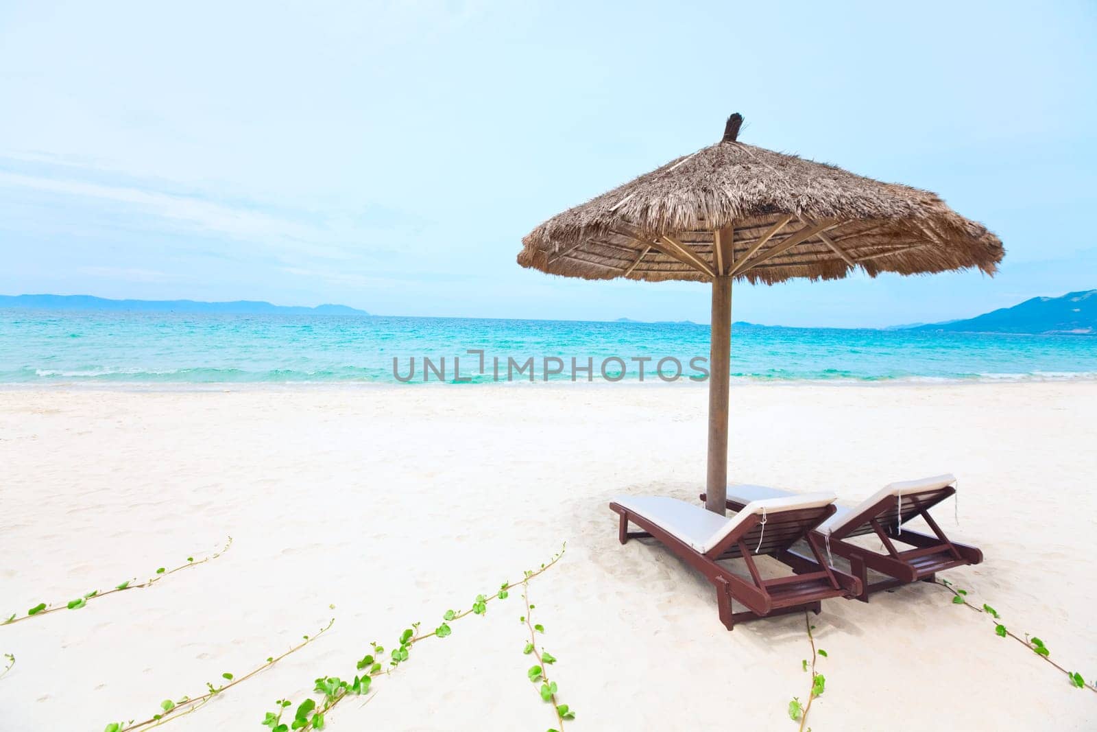 Sandy tropical beach with deck chairs in sunny day