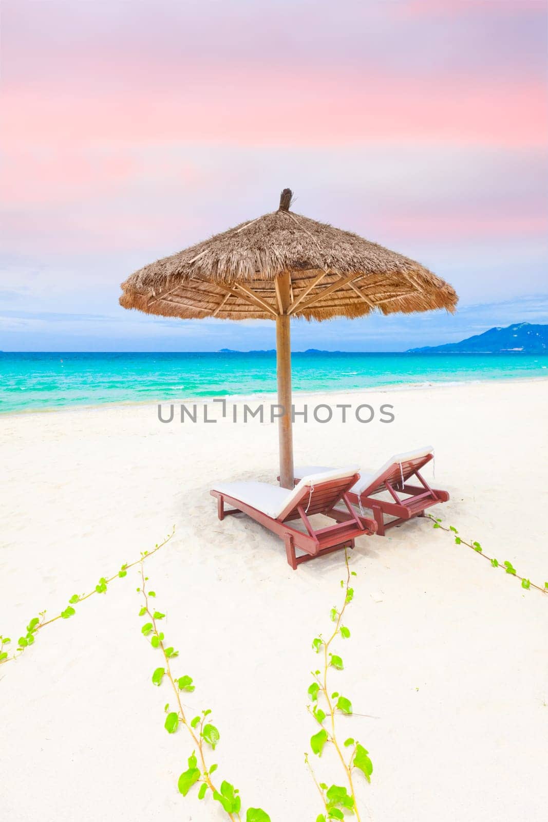 Sandy tropical beach with a deck chairs