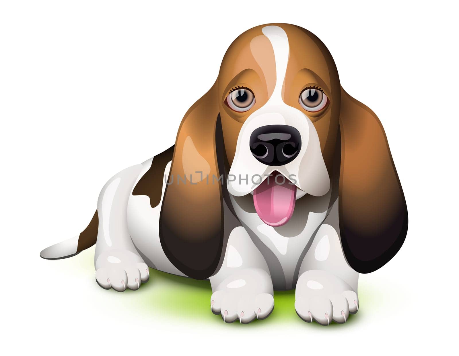 Basset Hound puppy sticking his tongue out