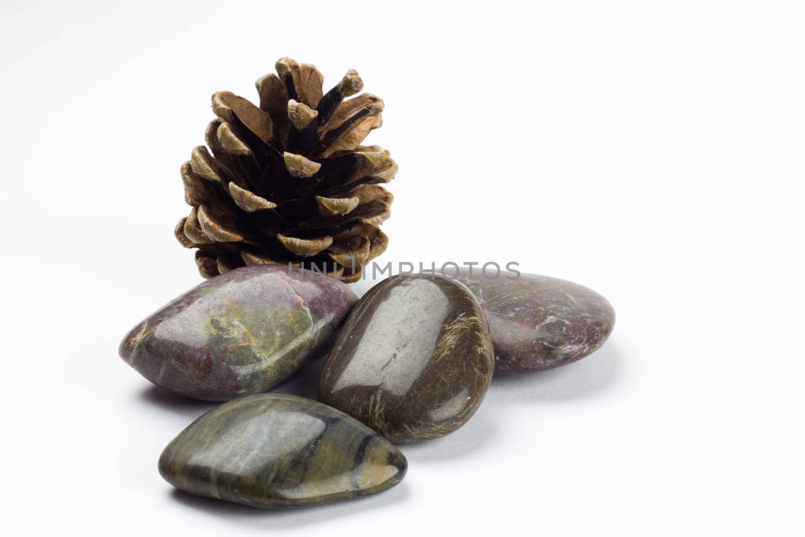 Shiny smooth Pebbles with a pine cone
