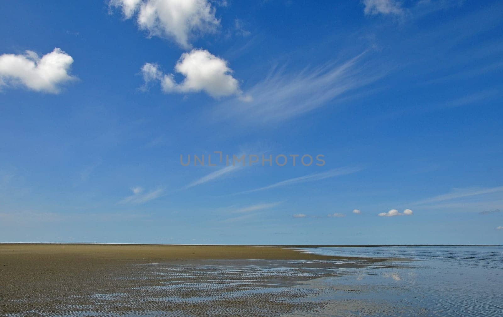 Wadden Sea