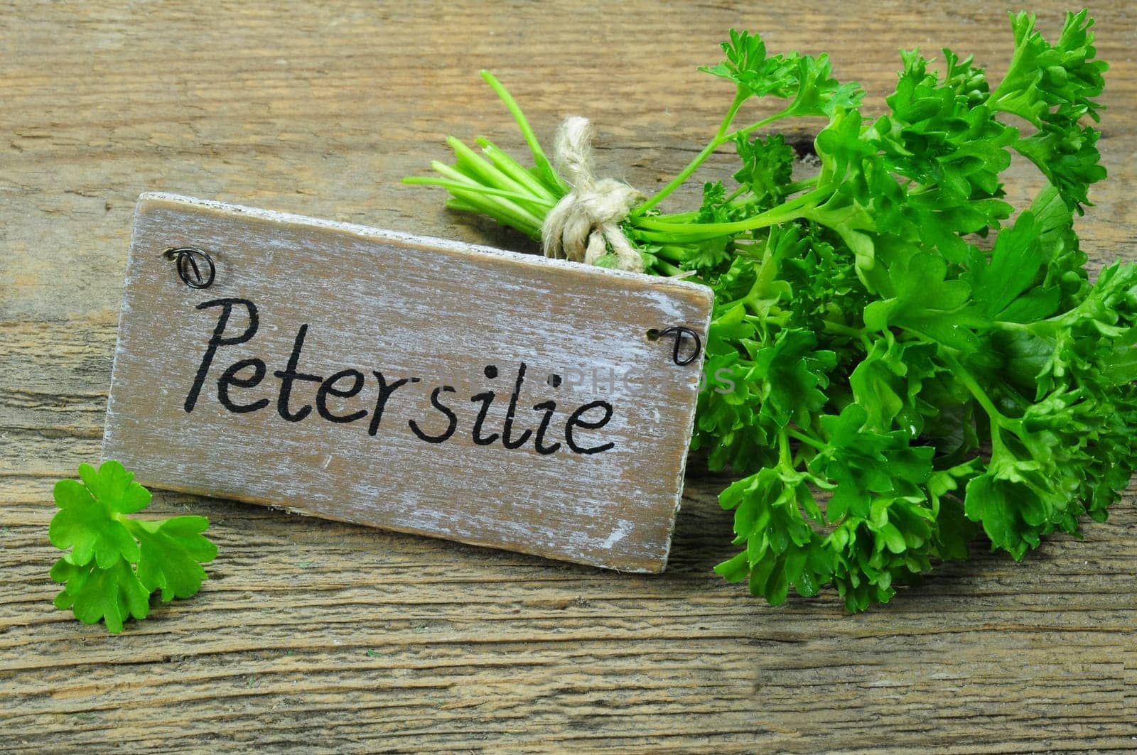 Parsley