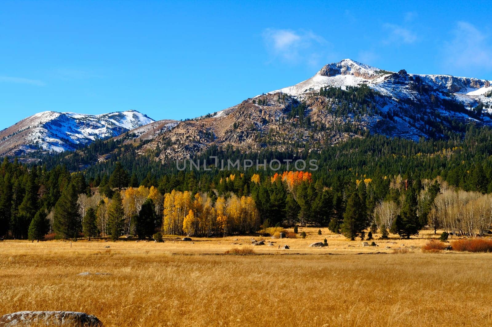 An early snowfall covers the mountains in the distance with assorted foliage in fall colors in the foreground located in Hope Valley California