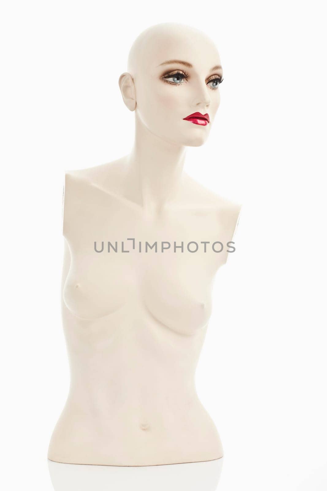 Torso