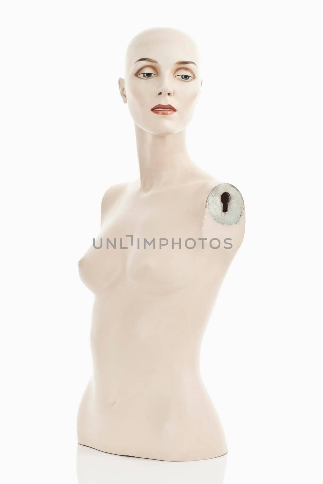 Torso