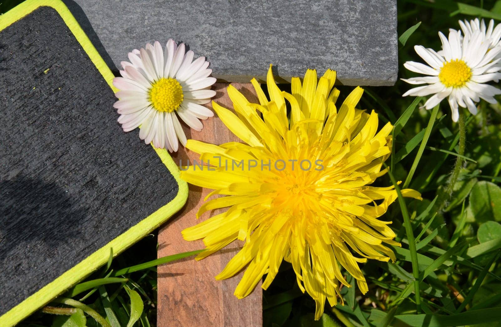 Chalkboard Fresh Herbs Garden Flowers Vitamins