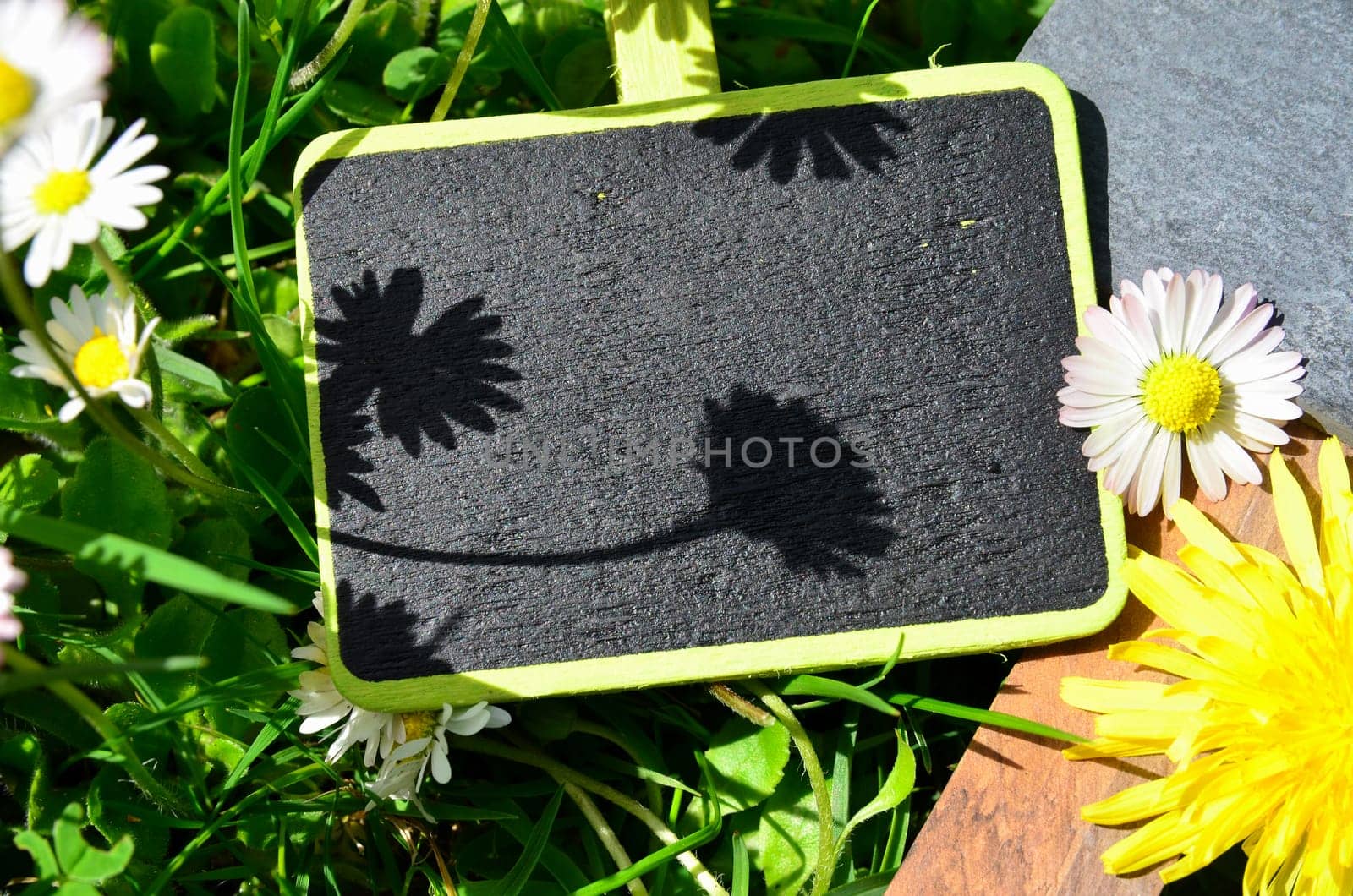 Chalkboard Fresh Herbs Garden Flowers Vitamins