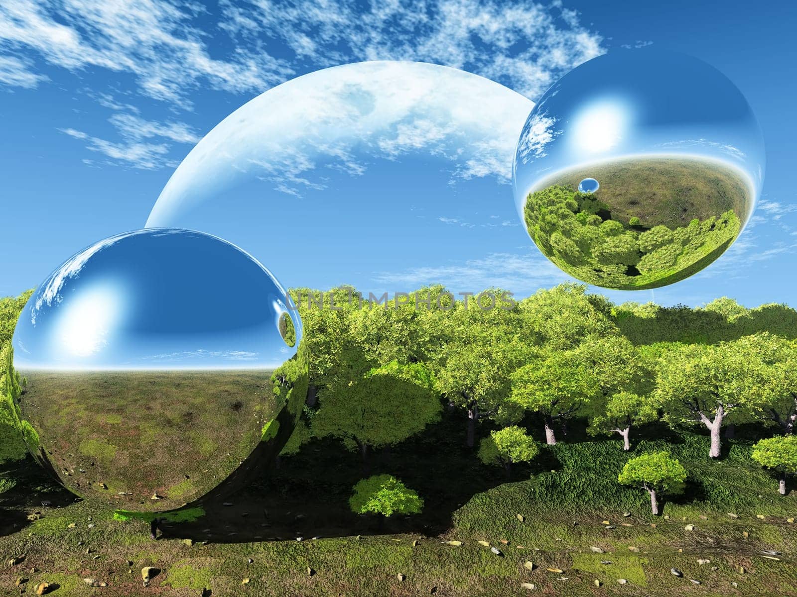 bubble nature and the moon