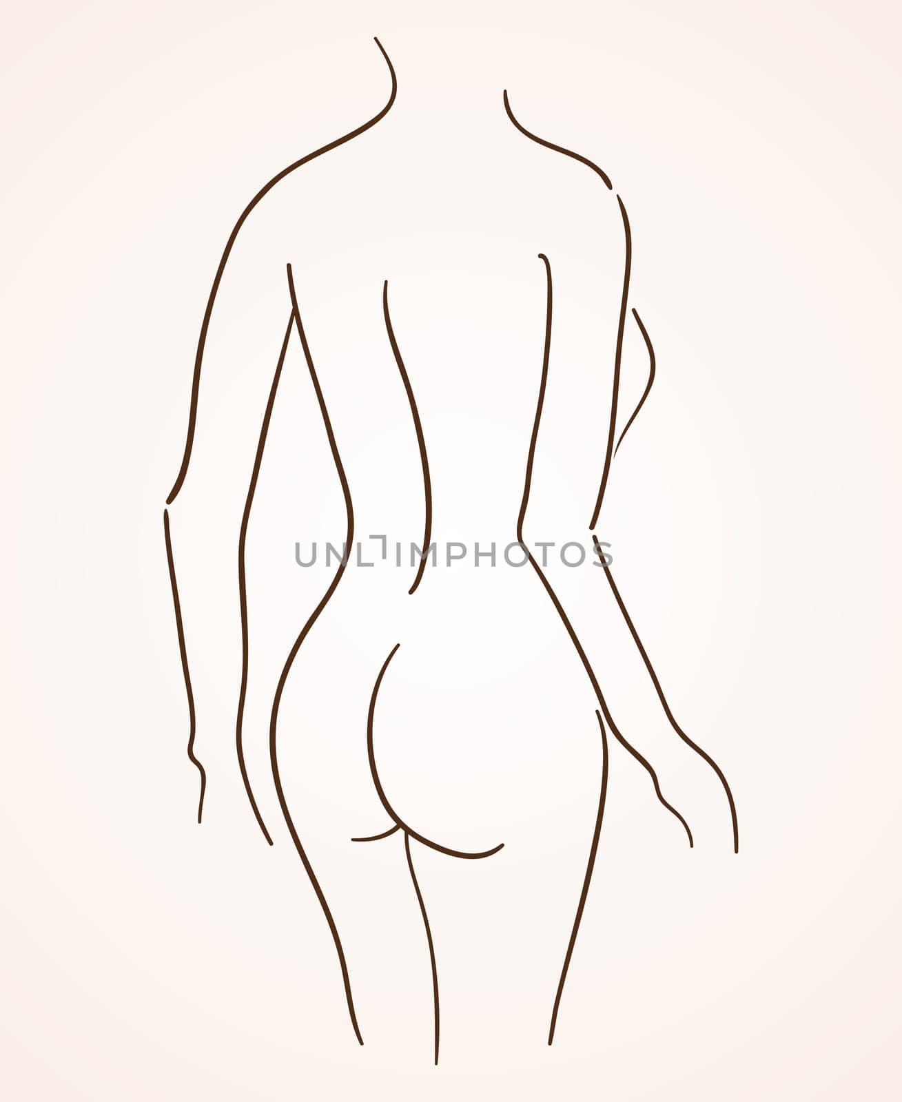 Sexy Lady Back Lineart Silhouette on bright background