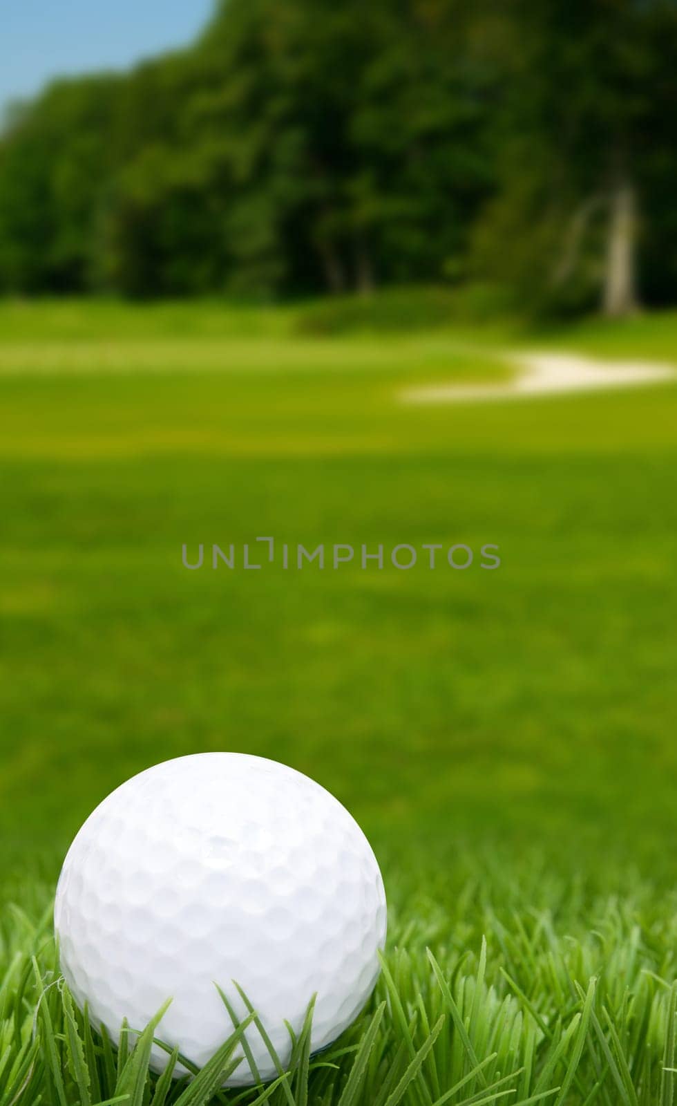 Golf Ball in Grass -  Golf Course in Background