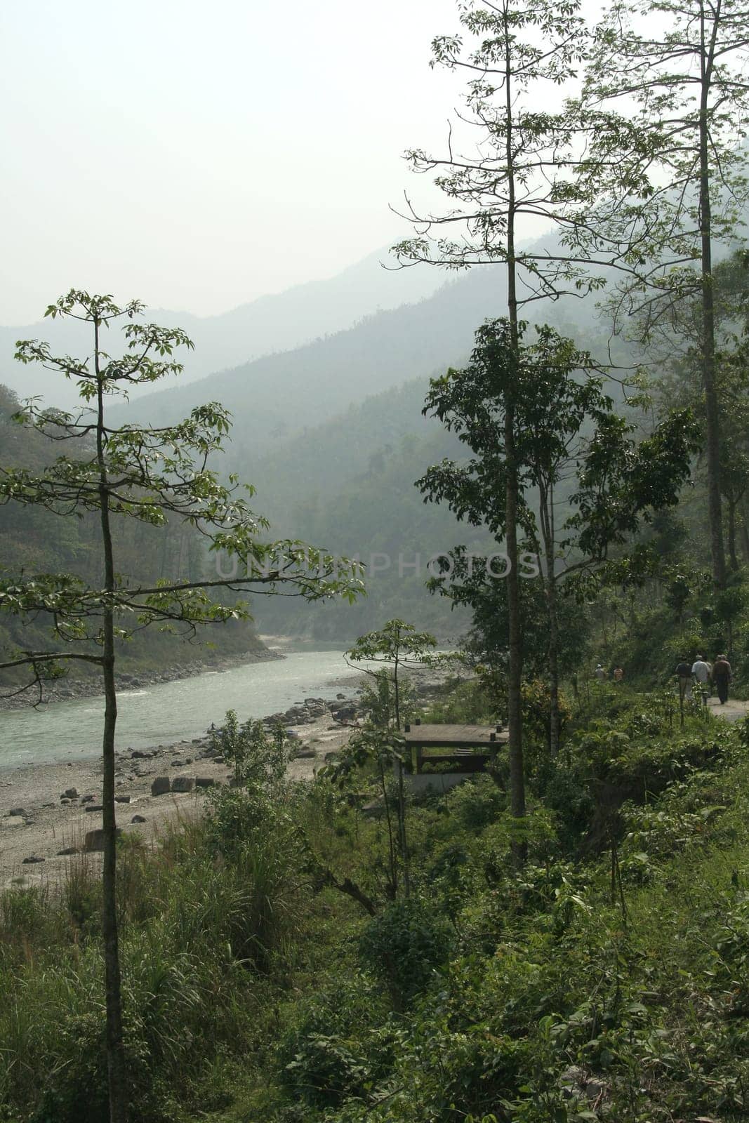 Teesta River at Melli near Rangpou, West Bengal, India, Asia