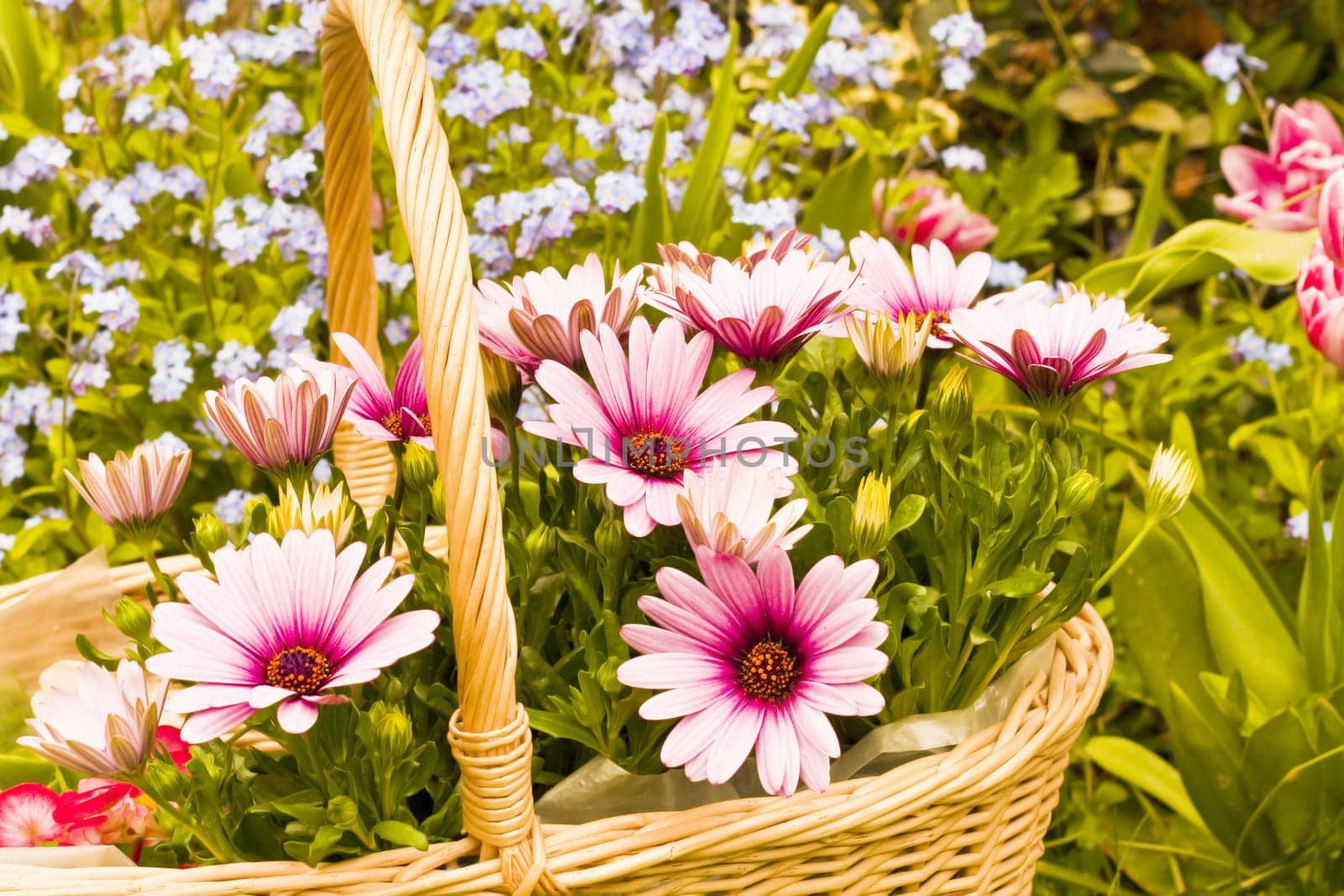 Flower basket