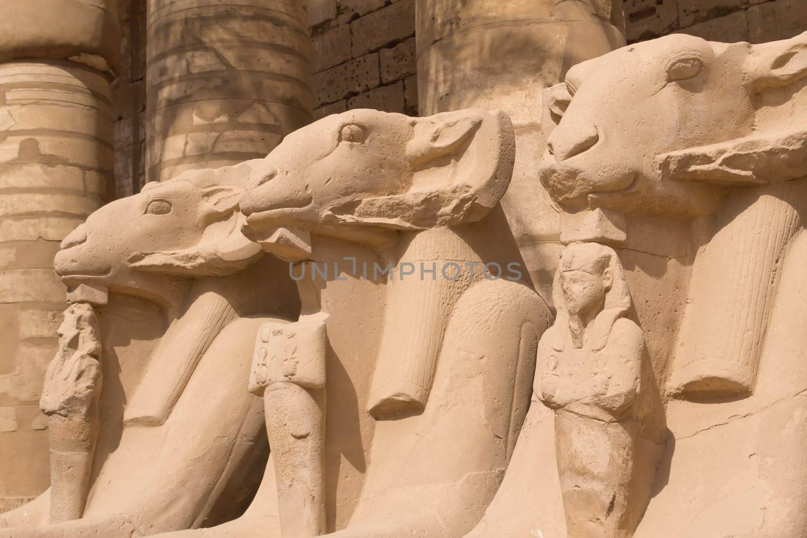 Statues of Rams  at Karnak Temple ( Luxor, Egypt).