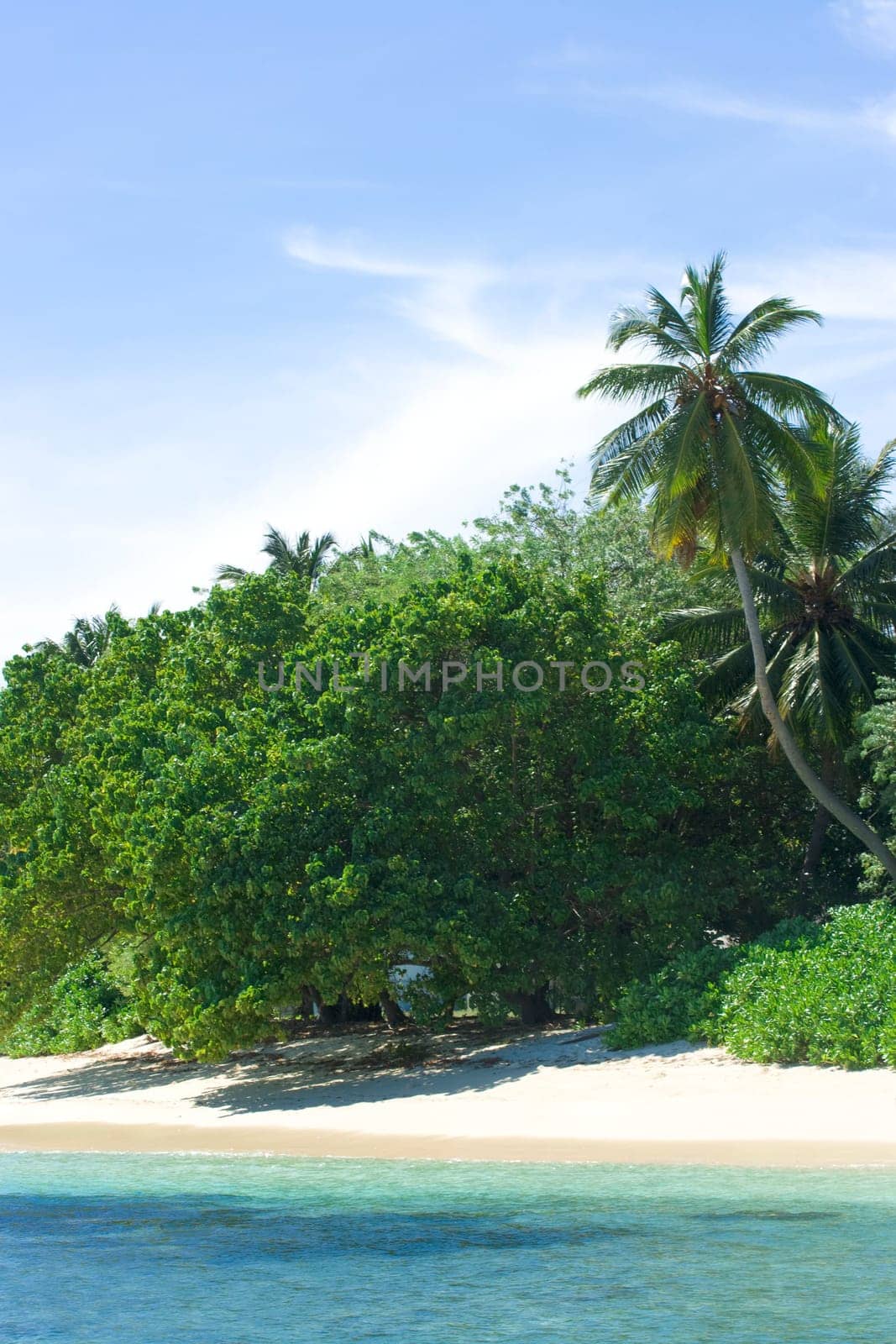 Coast of Indian ocean. Maldives
