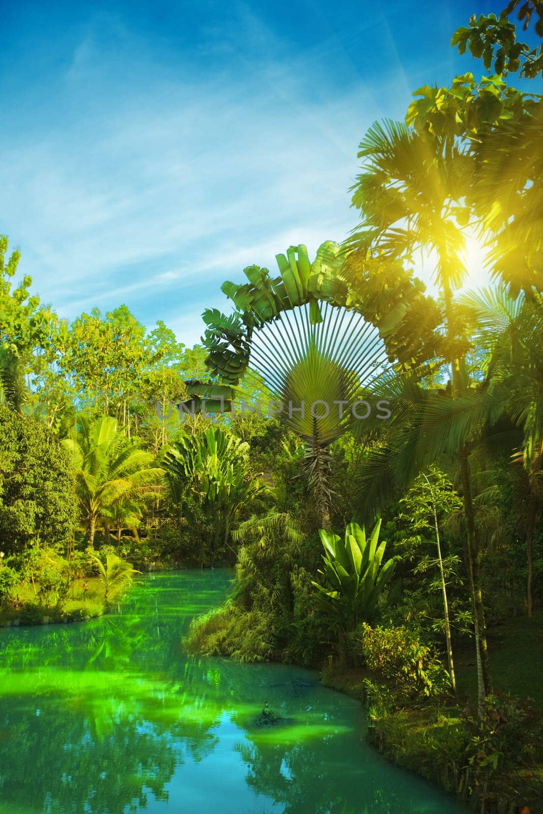 Lake in deep forest on sunset time