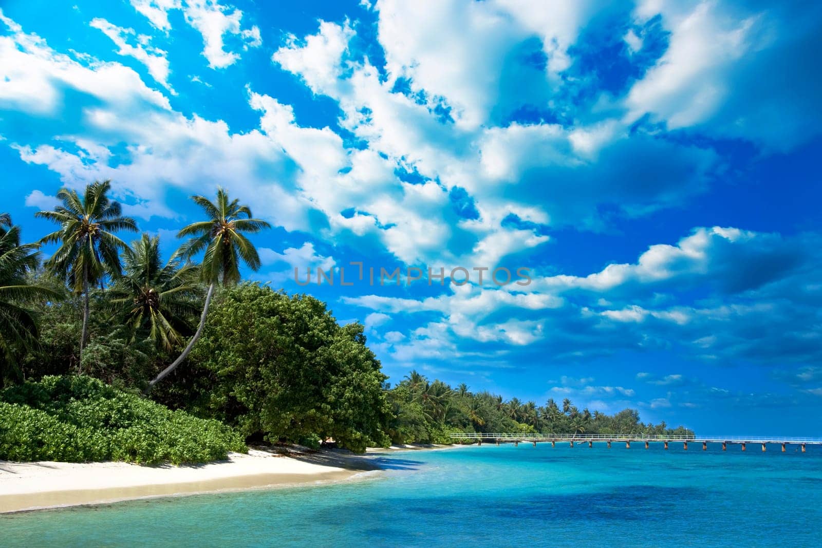 Coast of Indian ocean. Maldives