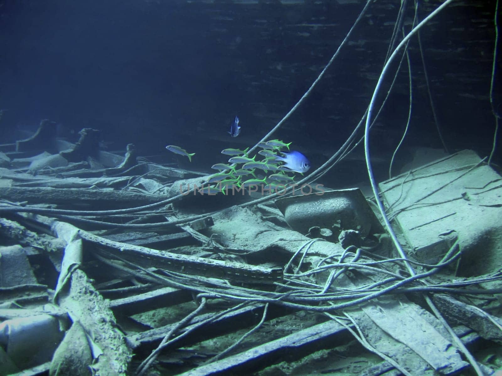 Underwater landscape with boat fragments and fishes. The Red Sea
