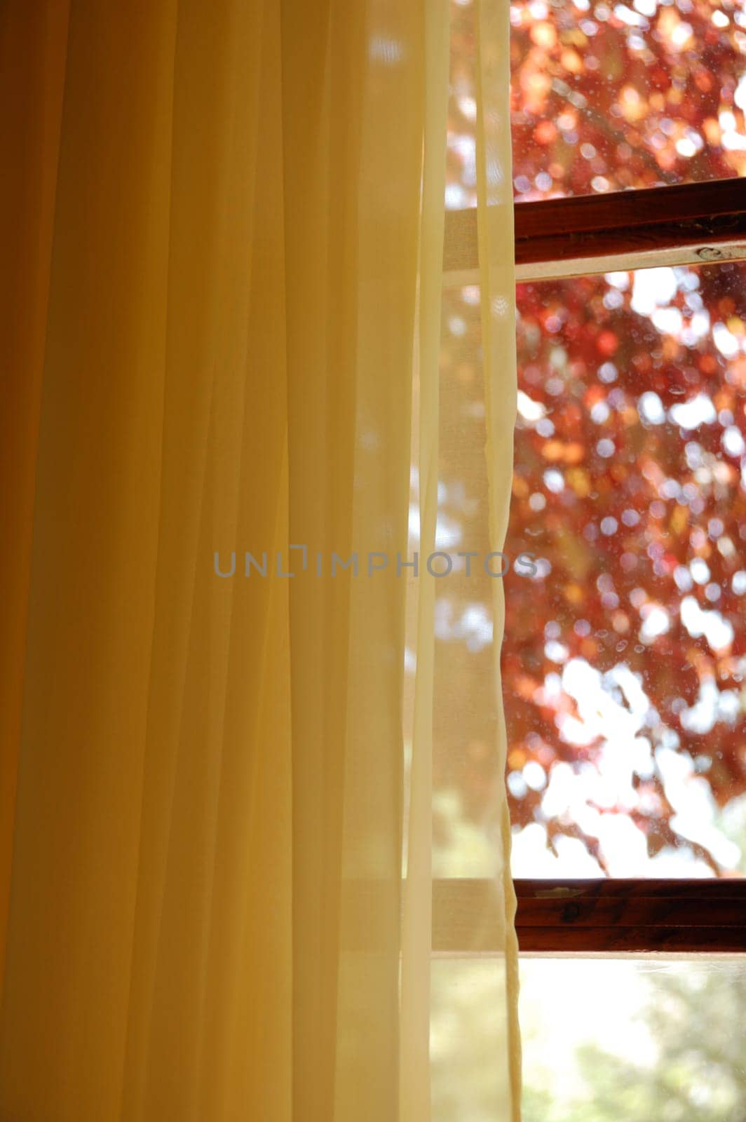 Yellow curtains and stained glass window view to abstract nature scene.