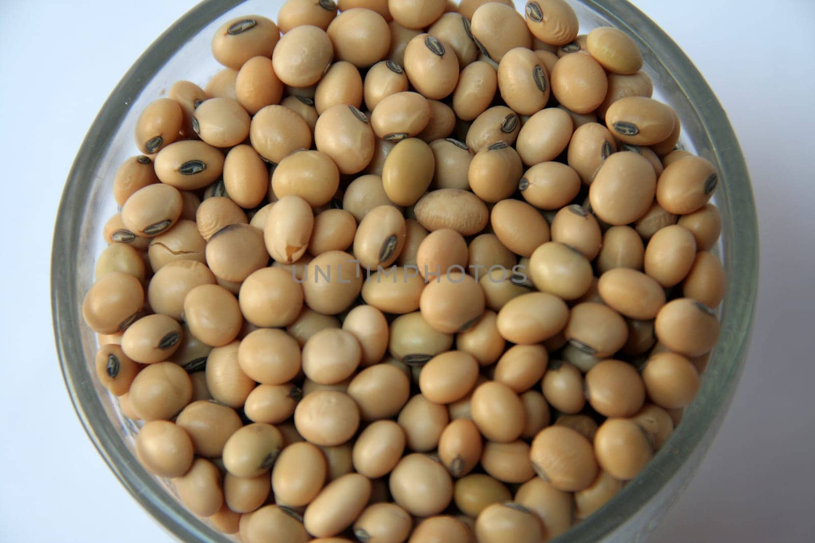 Cupful of light brown grains of soya bean