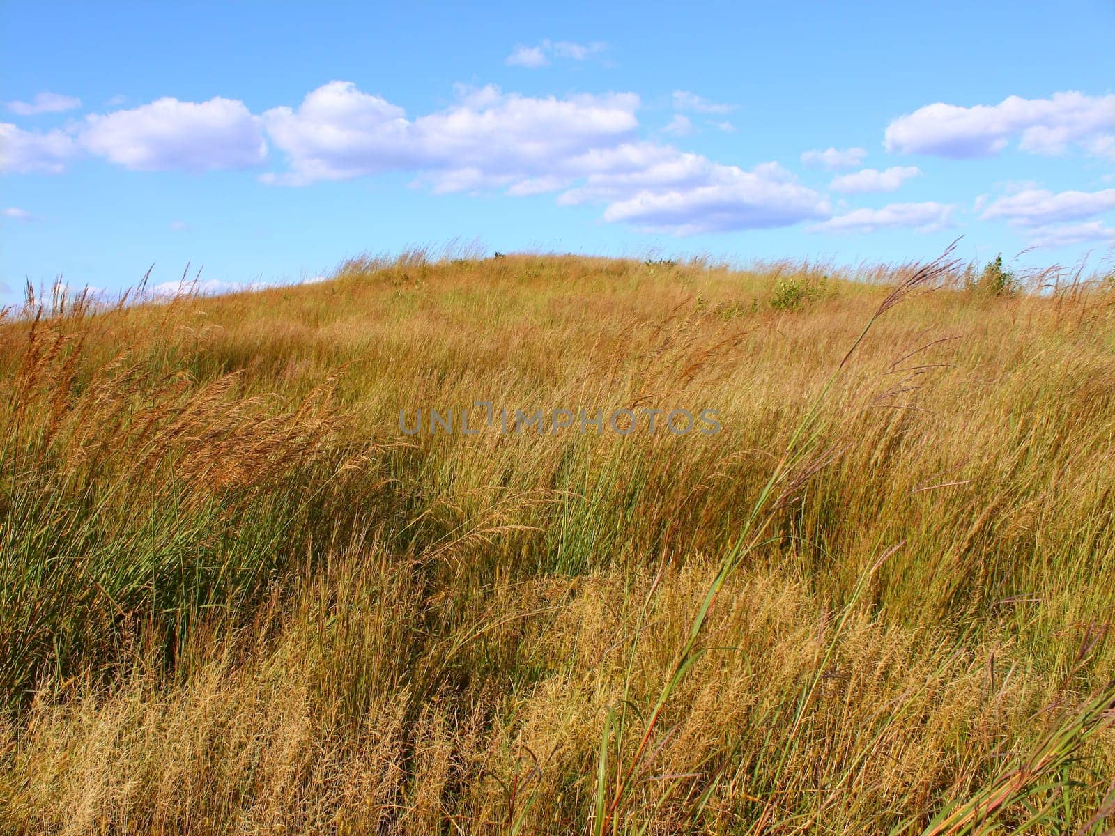 A vast prairie at Nachusa Grasslands of northern Illinois.