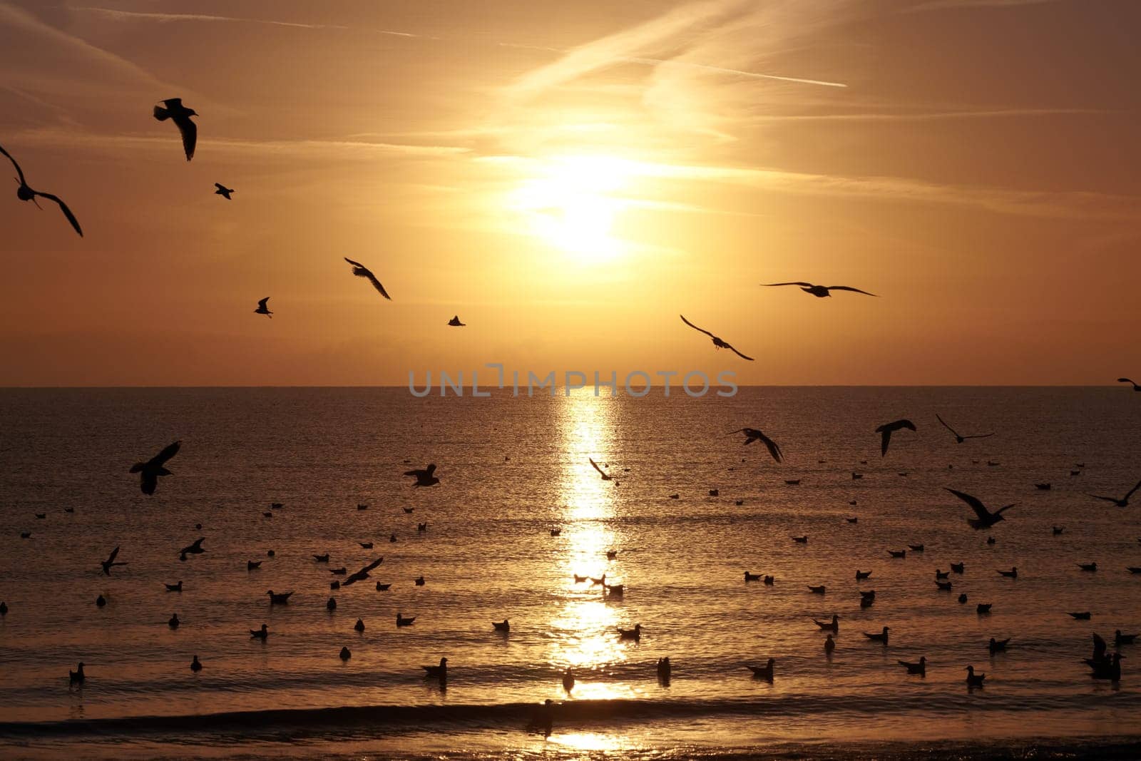 Romantic sunrise in late summer on the German Baltic Sea coast
