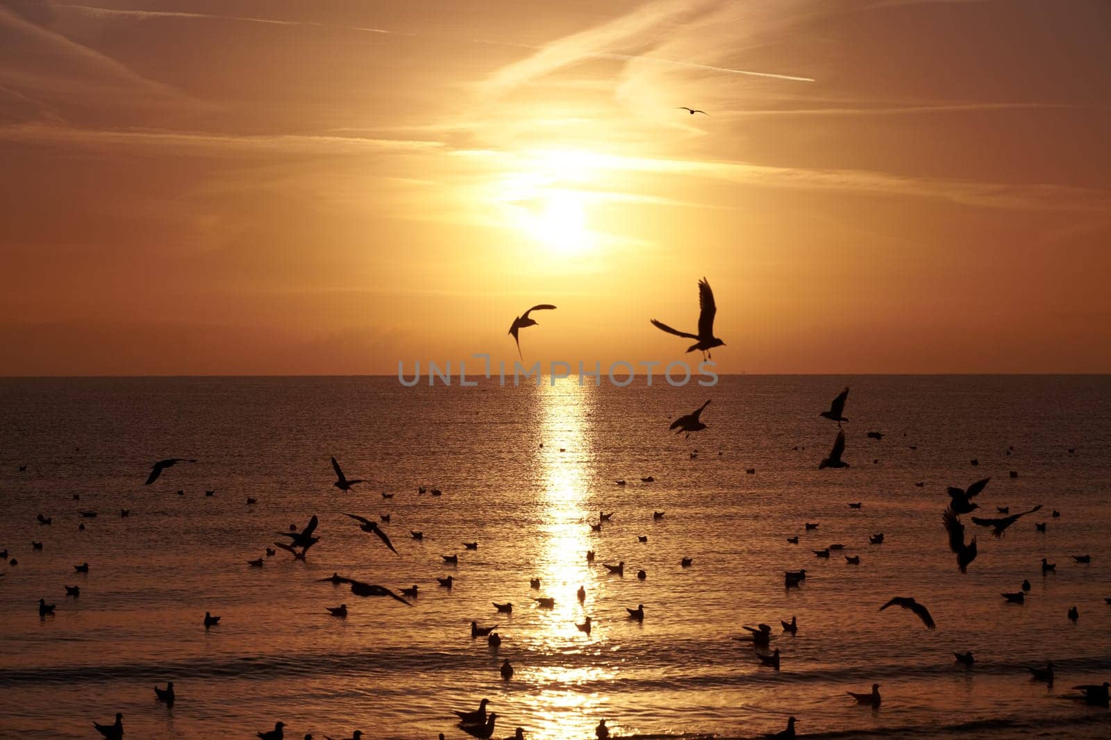 Romantic sunrise in late summer on the German Baltic Sea coast