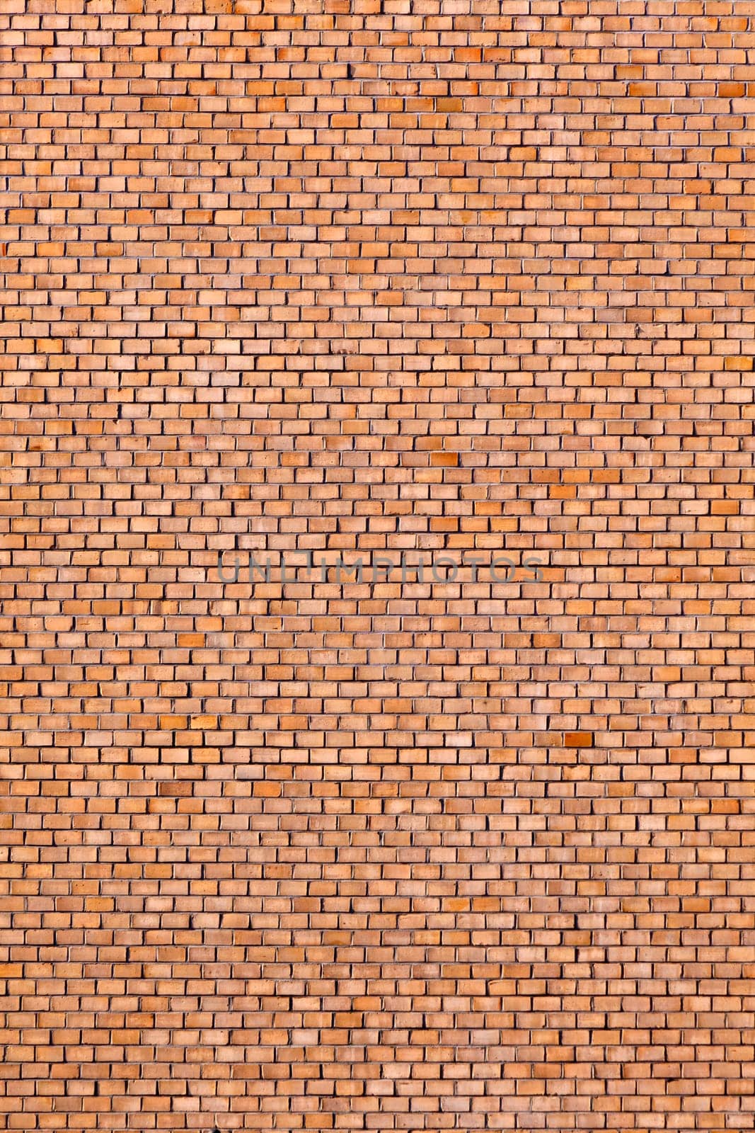 brick wall of an old house