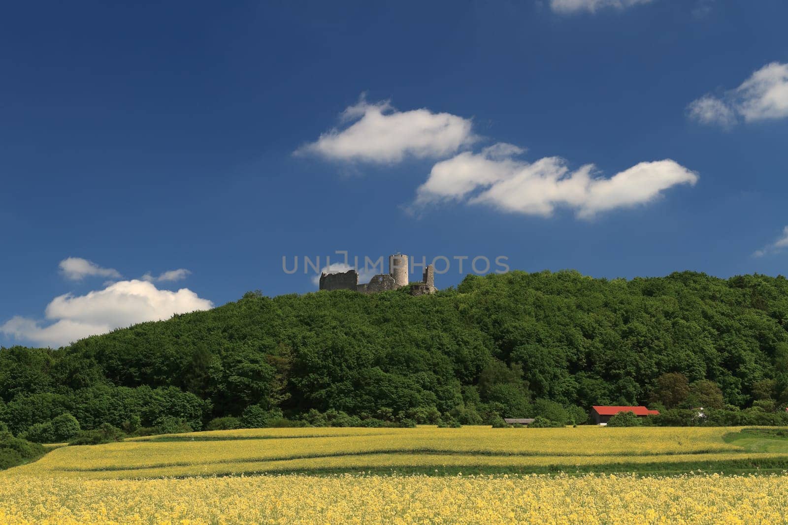 Wolfstein Castle Ruins