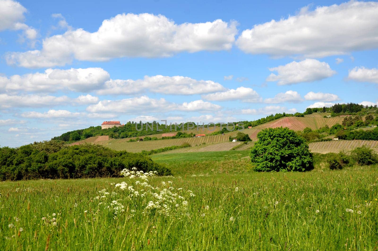 Hoheneck Castle near Ipsheim