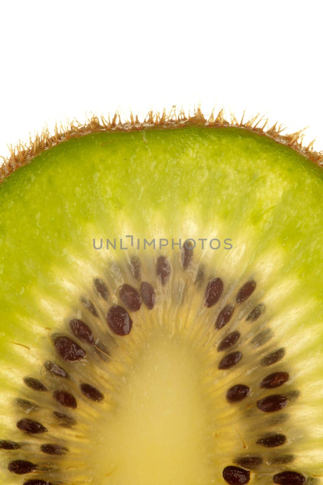 Macro shot of a kiwi slice against a white background